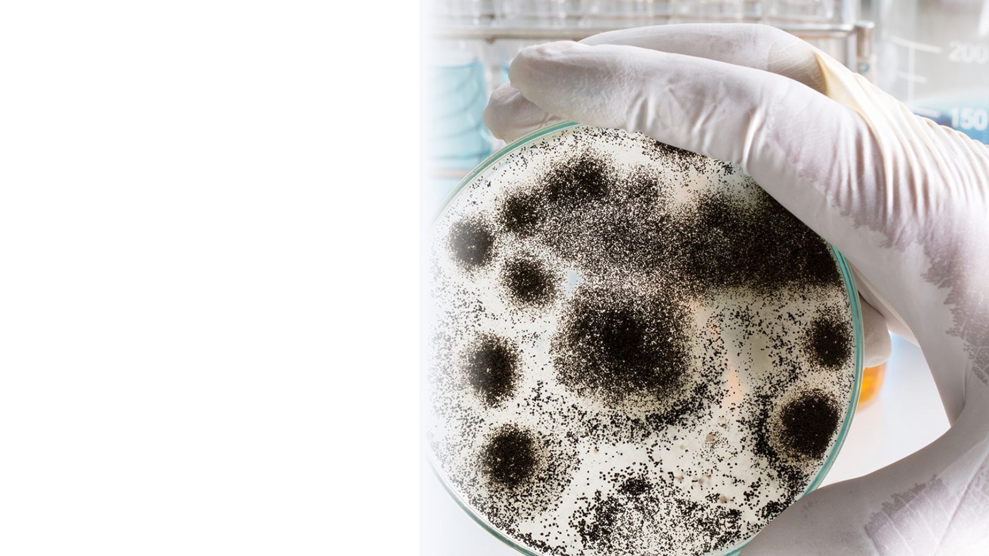 Southern Cross Diagnostics Specialising in human diagnostics